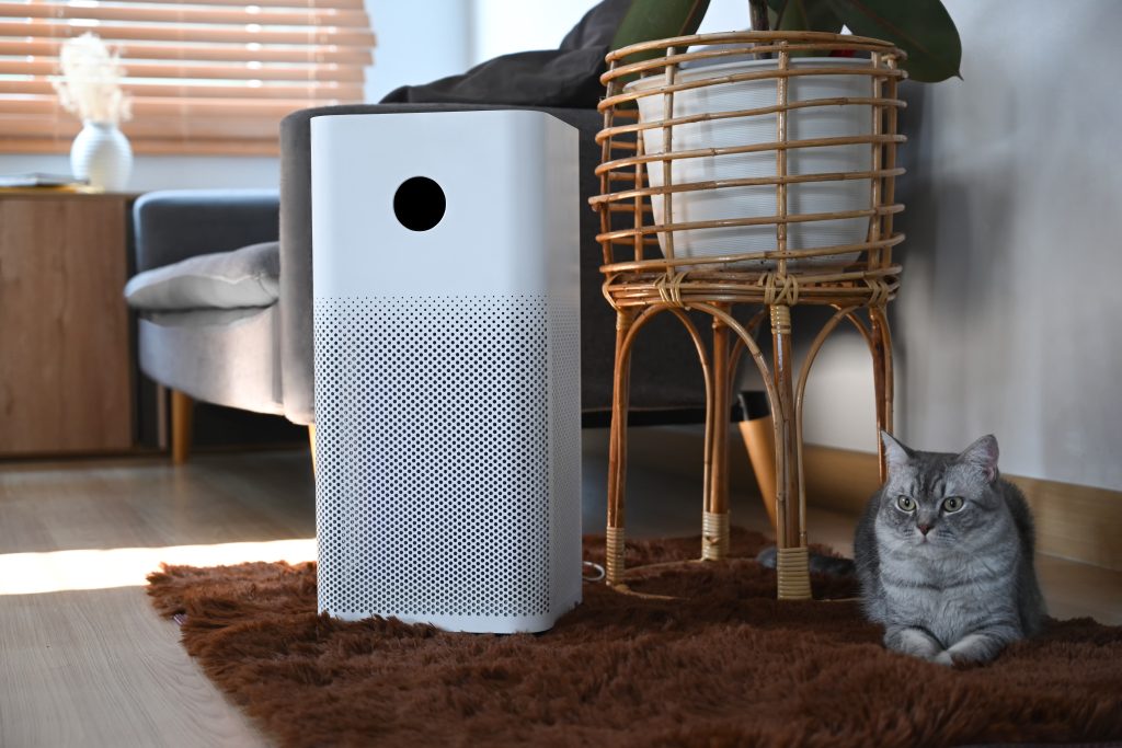 Lovely tabby cat sitting near Air purifier in living room. Air Pollution Concept.